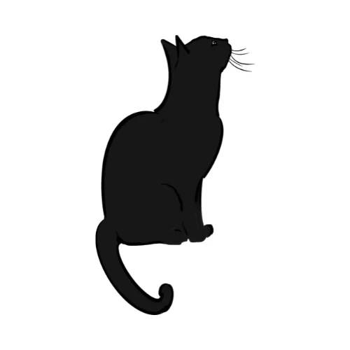 Illustrated famous black cat