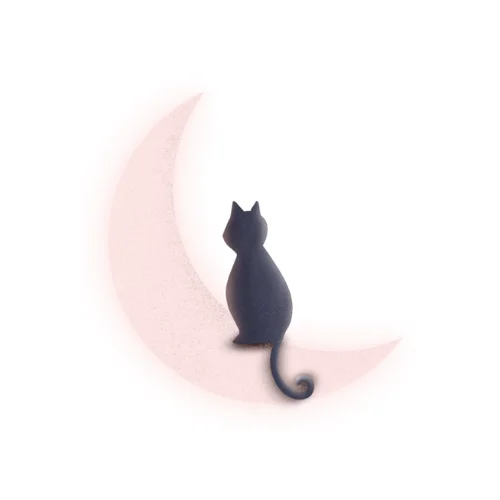 An illustrated cat is sitting on the moon.