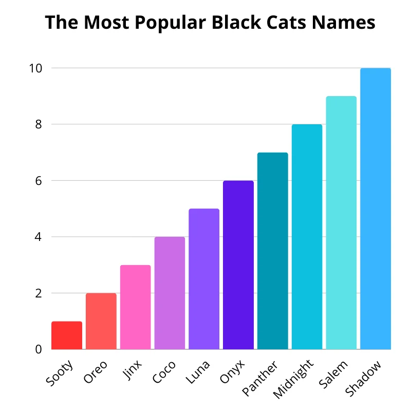 Chart of the most popular black cat names. First up: Shadow. In the second: Salem. In the third: Midnight. Fourth: Panther. In the fifth: Onyx. Sixth: Luna. In the seventh: Coco. In the eighth: Jinx. In the ninth: Oreo. Tenth: Sooty.