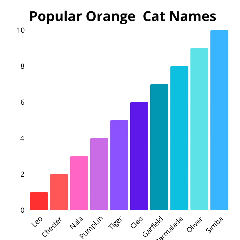 Chart of the most popular cat names. First up: Simba. In the second: Oliver. In the third: Marmalade. Fourth: Garfield. In the fifth: Cleo. Sixth: Tiger. In the seventh: Pumpkin. In the eighth: Nala. In the ninth: Chester. Tenth: Leo.