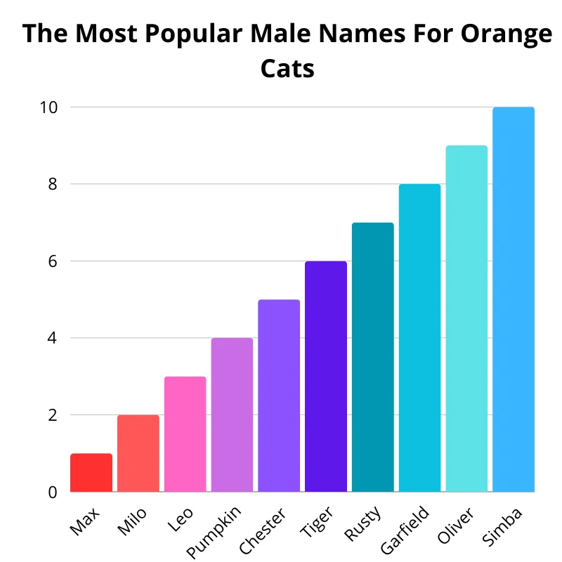 Chart of the most popular male names for orange cats. First up: Simba. In the second: Oliver. In the third: Garfield. Fourth: Rusty. In the fifth: Tiger. Sixth: Chester. In the seventh: Pumpkin. In the eighth: Leo. In the ninth: Milo. Tenth: Max.