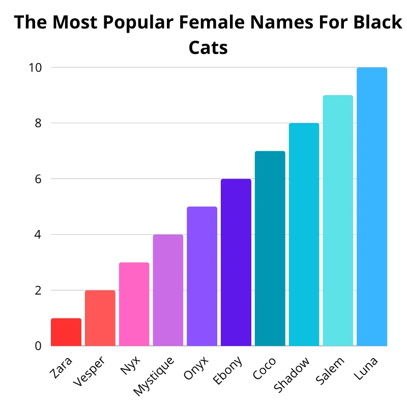 Chart of the most popular female names for black cats. First up: Luna. In the second: Salem. In the third: Shadow. Fourth: Coco. In the fifth: Ebony. Sixth: Onyx. In the seventh: Mystique. In the eighth: Nyx. In the ninth: Vesper. Tenth: Zara.