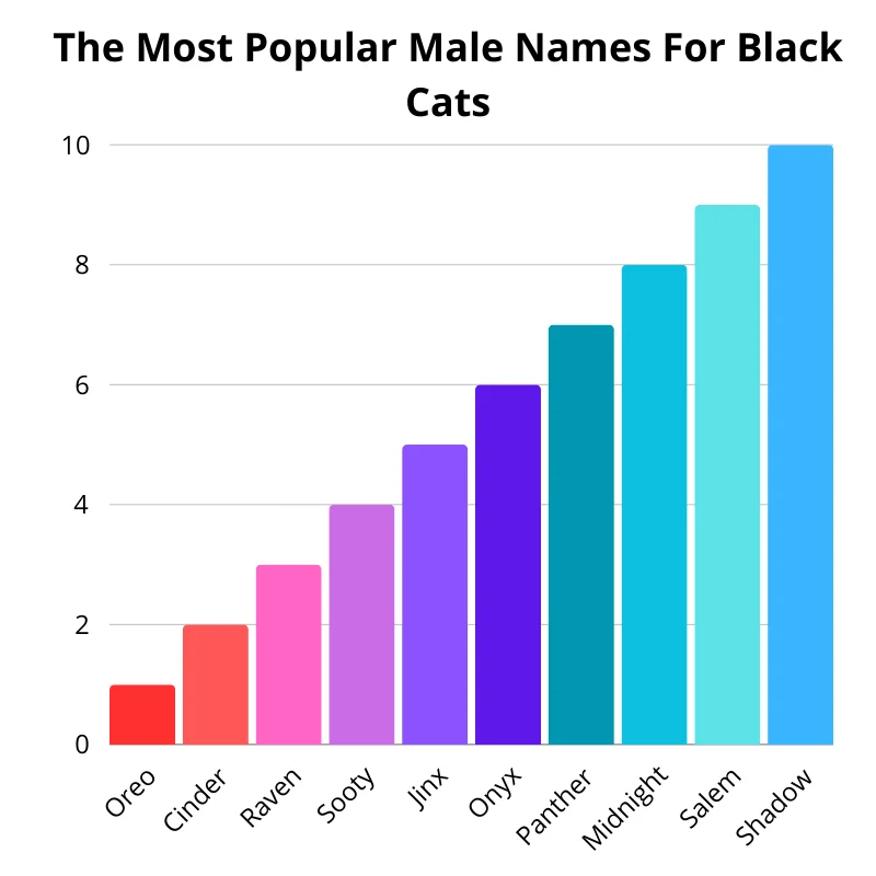 Chart of the most popular male names for black cats. First up: Shadow. In the second: Salem. In the third: Midnight. Fourth: Panther. In the fifth: Onyx. Sixth: Jinx. In the seventh: Sooty. In the eighth: Raven. In the ninth: Cinder. Tenth: Oreo.